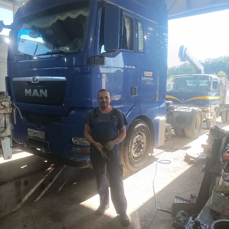  38220043  , 39 ,    
