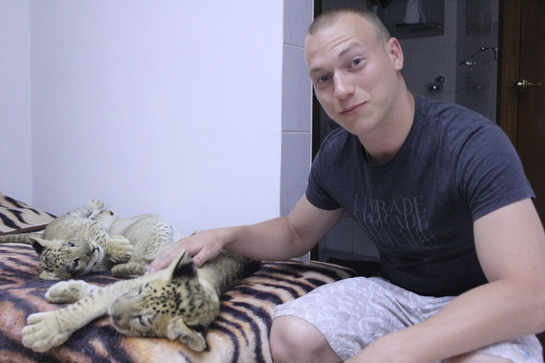 ���������� �������, ���� ������� �������, 34 ����, ������������ ��� ����� � ���������, c�������� ���������