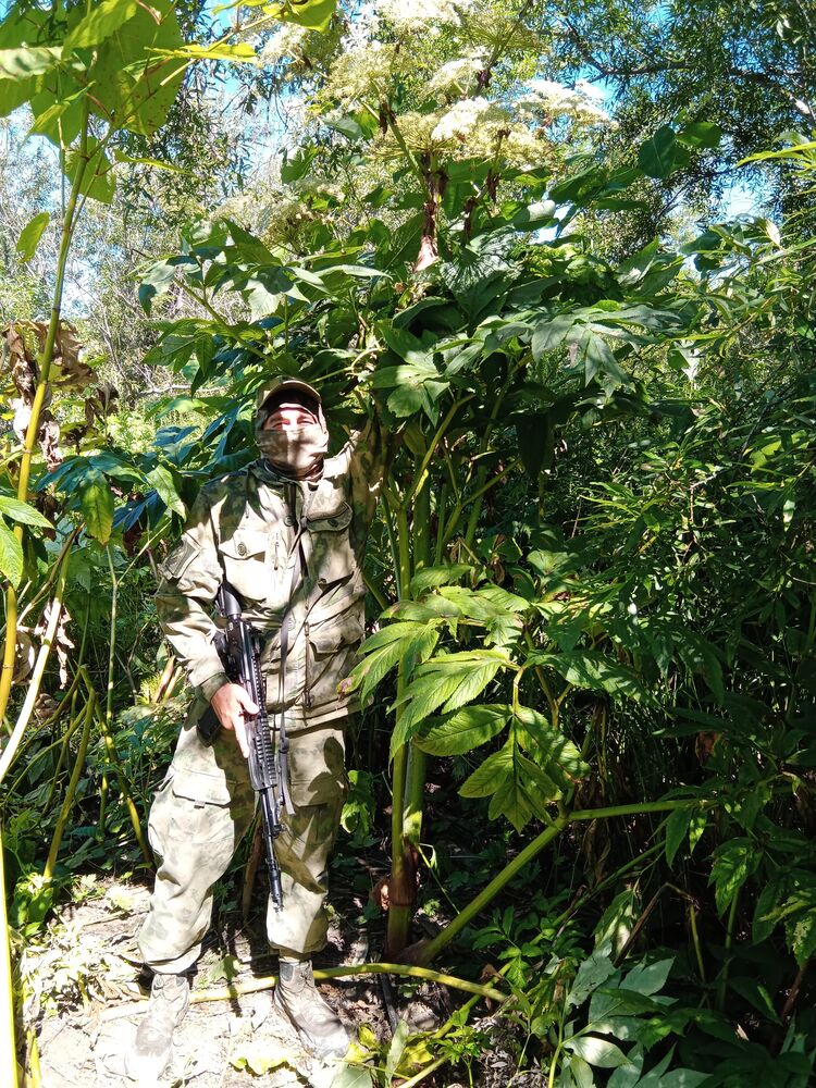 ���������� �����������, ���� ������� ����, 45 ���, ������������ ��� ������, ����� � ���������