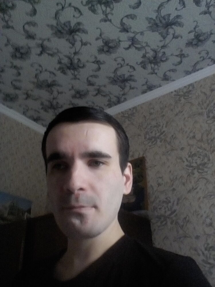  31566263  , 33 ,    
