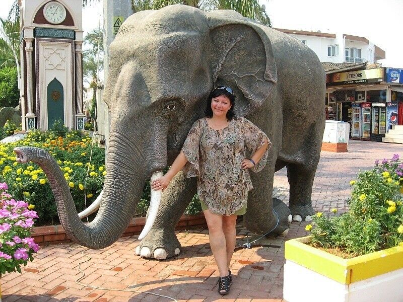 ���������� ������������, ���� ������� �����, 52 ����, ������������ ��� ������, ����� � ���������, c�������� ���������