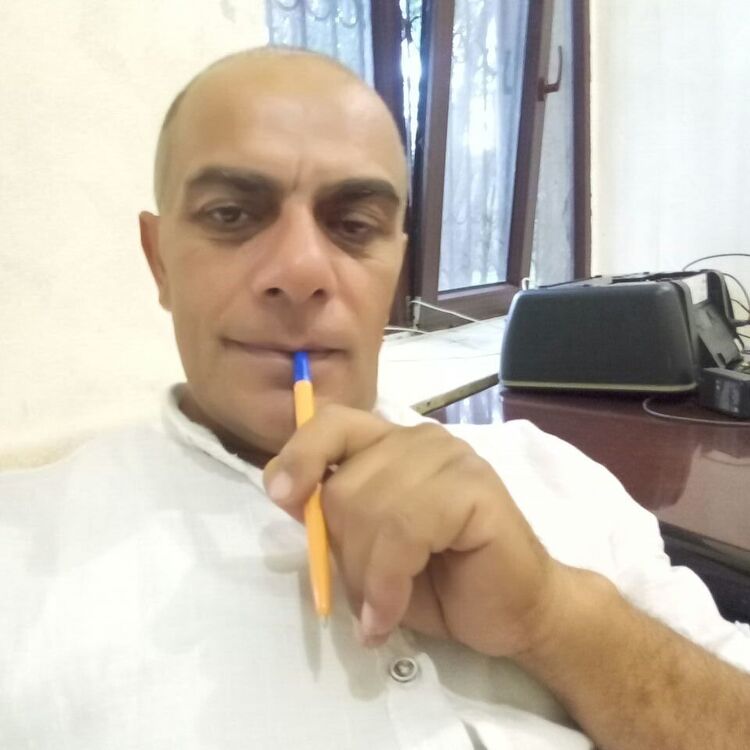  28976483  , 50 ,    
