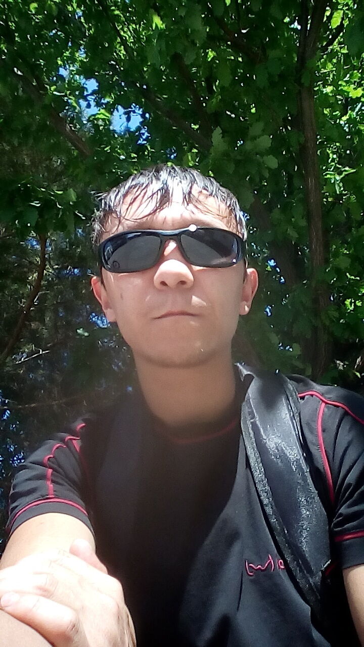 ���� 39133083 ������� �������, 39 ���, ���� ���������� � ���������