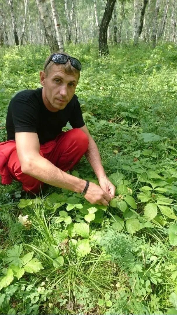 ���������� ������, ���� ������� ����, 39 ���, ������������ ��� ������, ����� � ���������