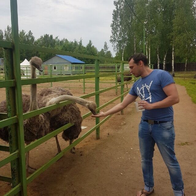 ���� 55085343 ������� Roman, 37 ���, ���� ���������� � �����-����������