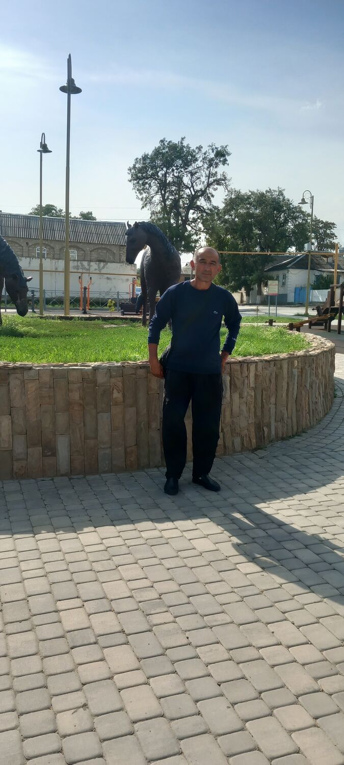  42400403  , 49 ,    