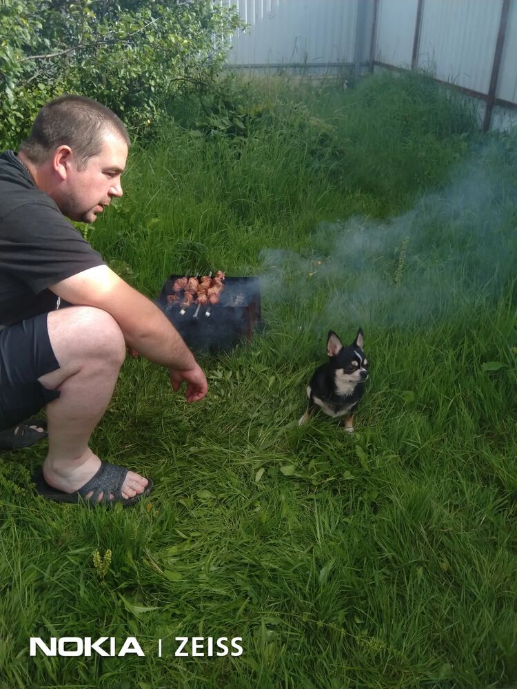 ���������� ������, ���� ������� ����, 38 ���, ������������ ��� ������, ����� � ���������