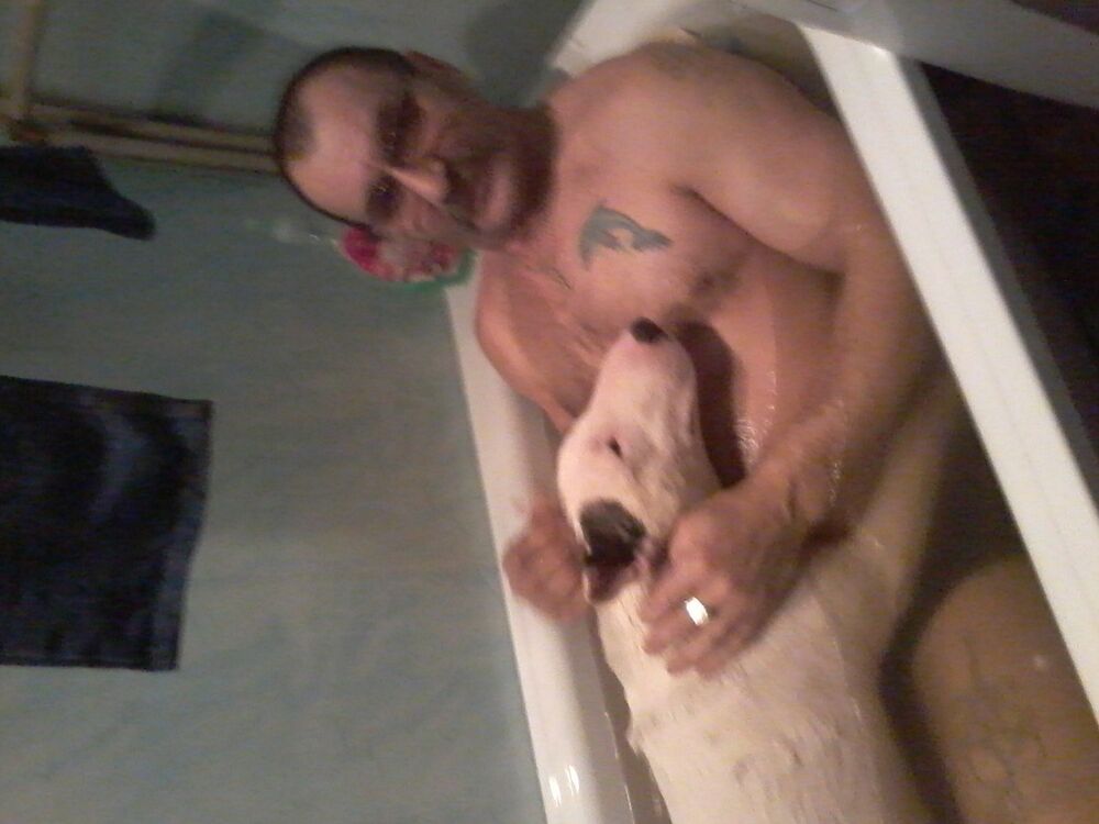 ���� 5208273 ������� ��������, 68 ���, ���� ���������� � ���������