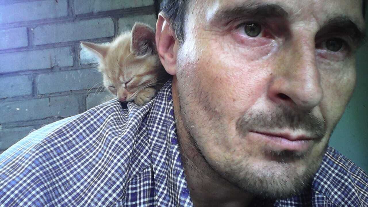  27080333  Anatoliy, 49 ,    