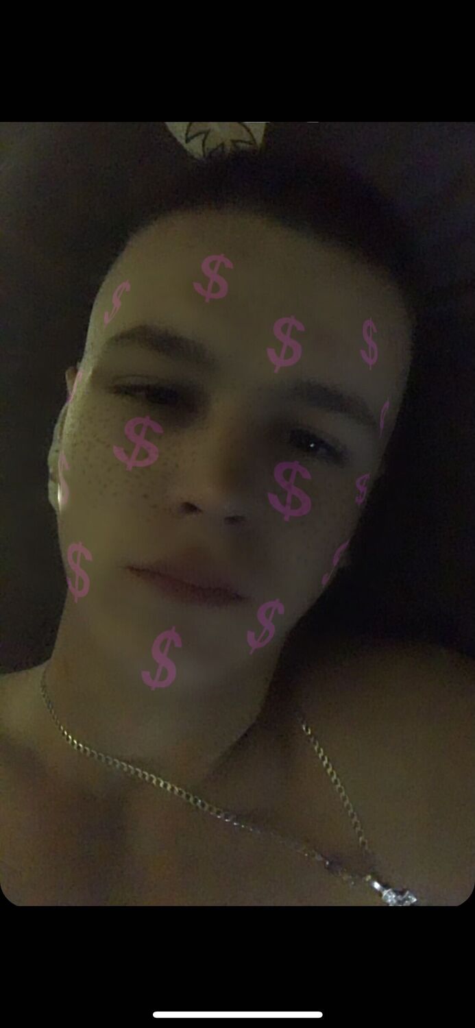  25221053  , 24 ,    