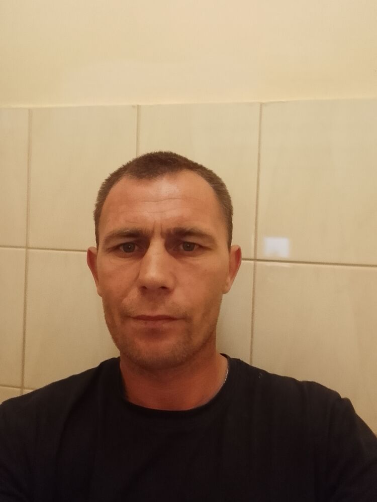  51081583  , 37 ,    