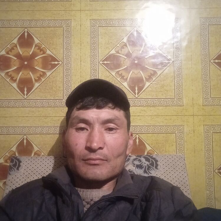 ���� 34173913 ������� �������, 47 ���, ���� ���������� � �������