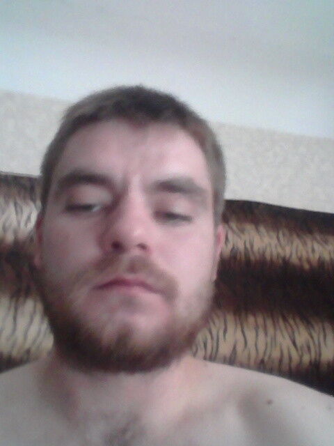 ���� 11419303 ������� Vovo, 36 ���, ���� ���������� � ���������