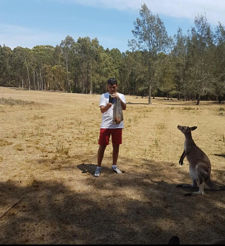 ���� 56212693 ������� �����, 50 ���, ���� ���������� � ��������