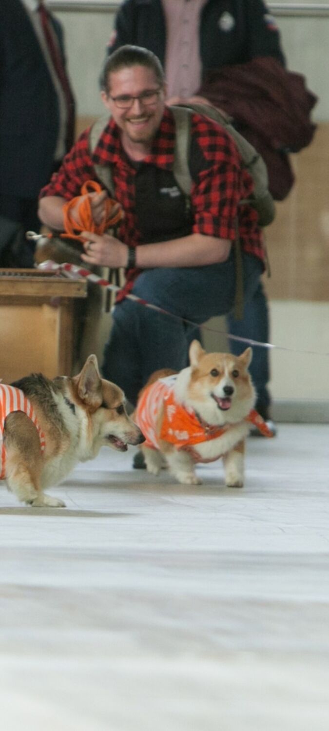 ���� 42862663 ������� ���������, 27 ���, ���� ���������� � ������