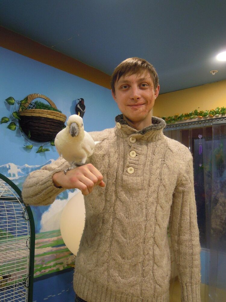 ���������� ������� �����, ���� ������� ����, 35 ���, ������������ ��� ������, ����� � ���������, c�������� ���������