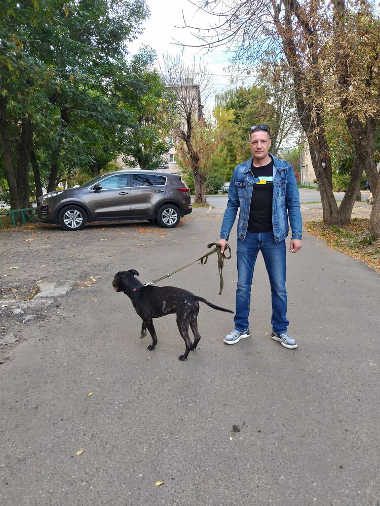 ���� 46334173 ������� ������, 37 ���, ���� ���������� � ��������