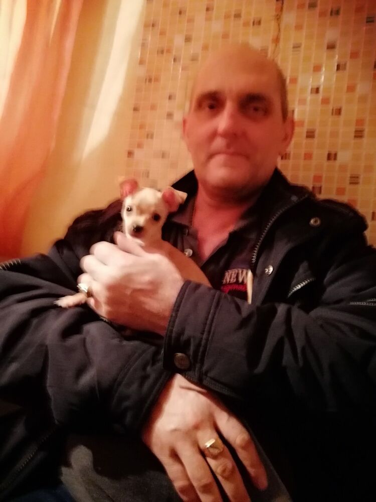 ���������� ����������, ���� ������� ������, 50 ���, ������������ ��� ������, ����� � ���������, c�������� ���������