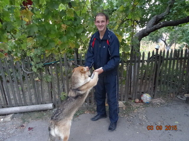 ���������� ������ ���, ���� ������� ������, 36 ���, ������������ ��� ������, ����� � ���������, c�������� ���������