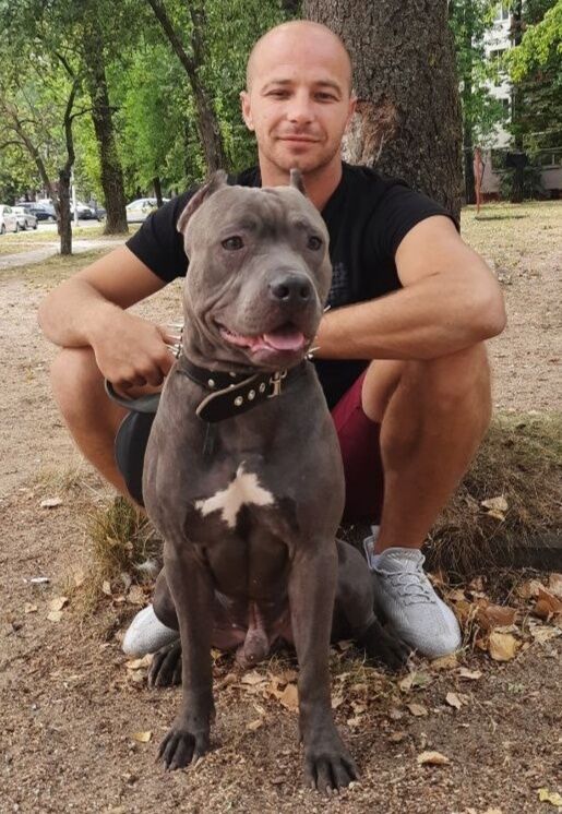 ���� 29151953 ������� �����, 36 ���, ���� ���������� � ������