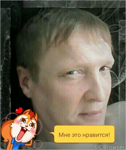 9582903  , 50 ,    
