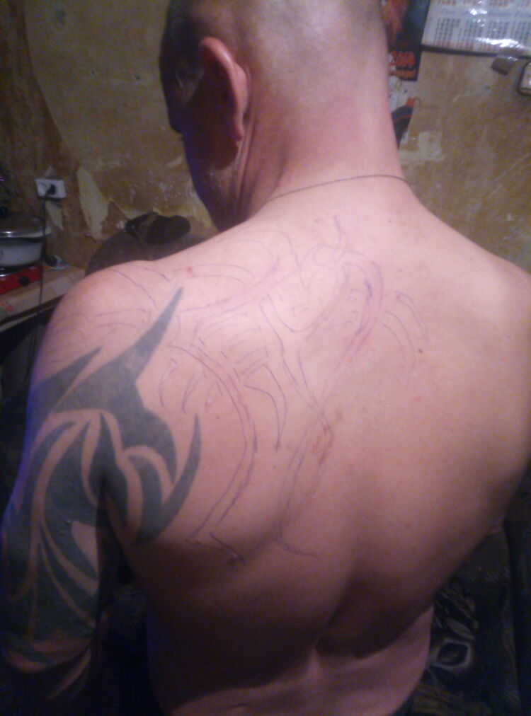 ���� 23388623 ������� ���������, 45 ���, ���� ���������� � ������