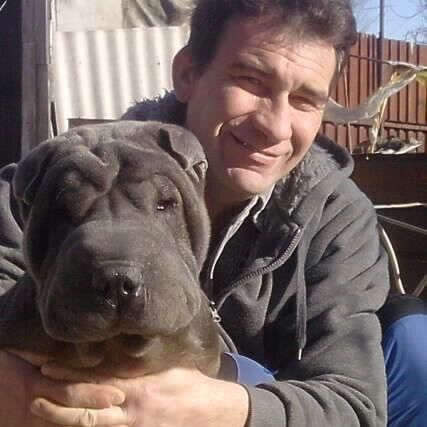 ���� 41988793 ������� ������, 60 ���, ���� ���������� � ������