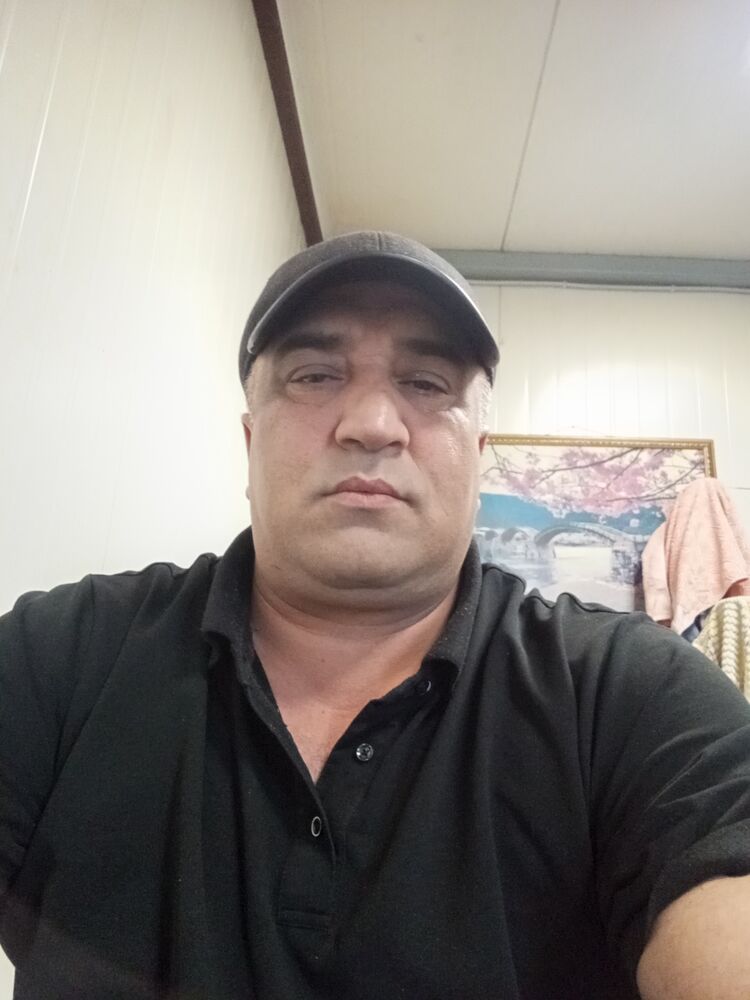  49774553  , 43 ,    
