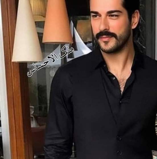 ���� 23176293 ������� ���������, 49 ���, ���� ���������� � �����-����������