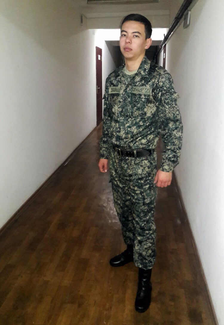  8480133  Uc8936338333, 31 ,    