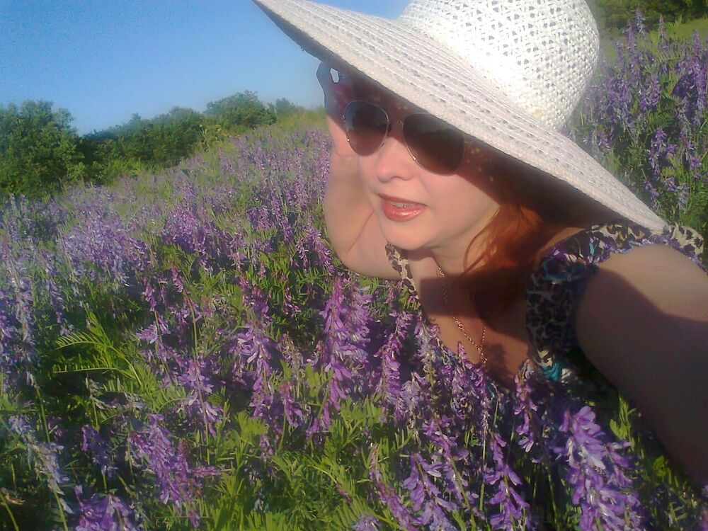 ���� 54424383 ������� �������, 52 ����, ���� ���������� � ��������