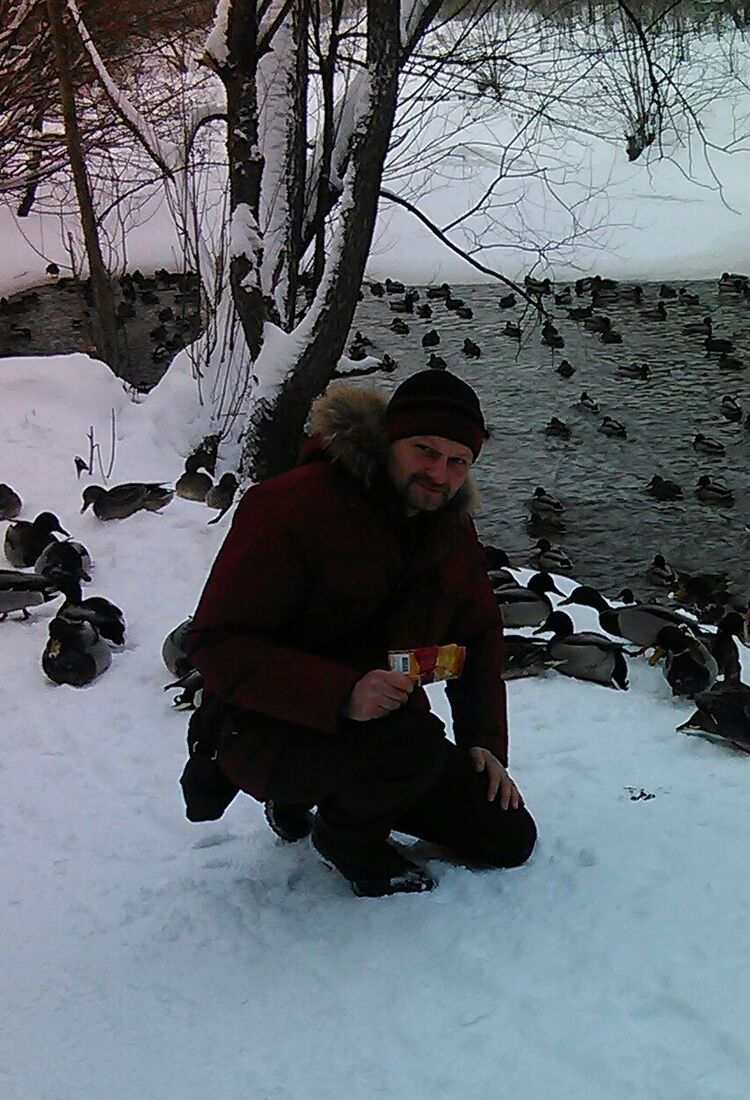 ���������� ������, ���� ������� 9251818143, 44 ����, ������������ ��� ����� � ���������, c�������� ���������