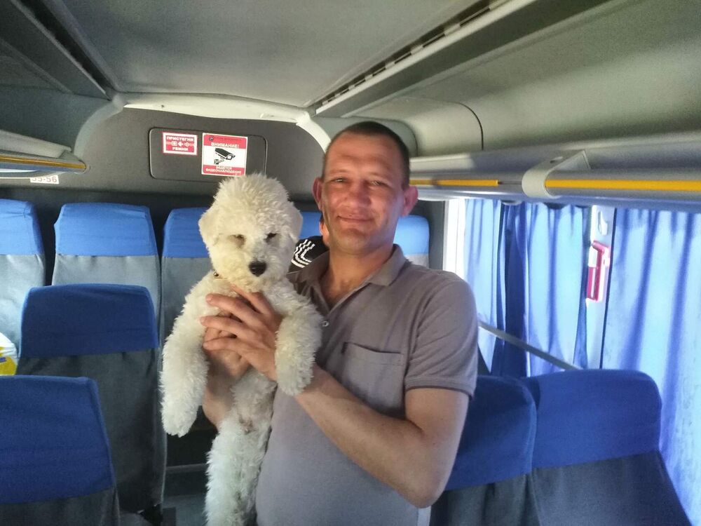 ���������� ���������, ���� ������� �������, 37 ���, ������������ ��� ����� � ���������, c�������� ���������