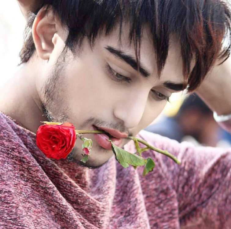 ���� 41132413 ����� ����������, 20 ���, ���� ���������� � ������