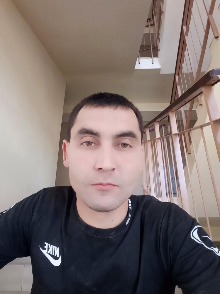  33628823  , 38 ,    