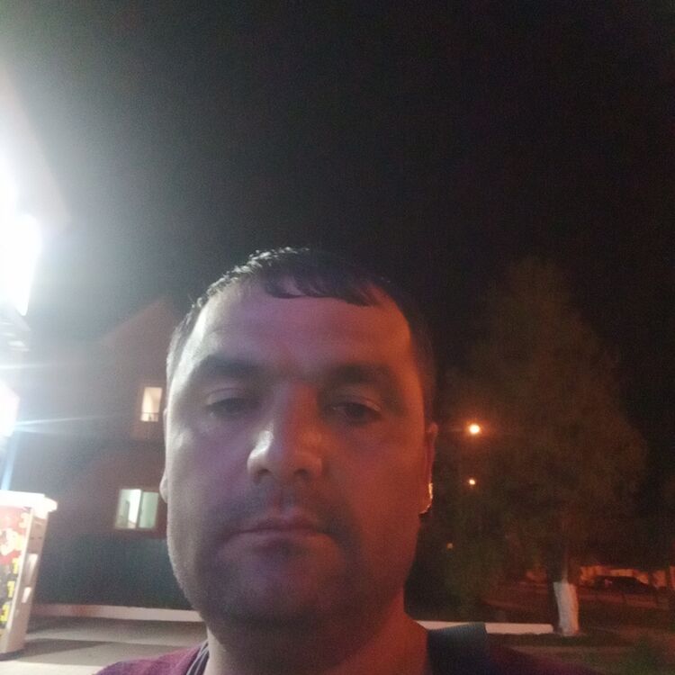 ���������� ��������, ���� ������� ������, 38 ���, ������������ ��� ������, ����� � ���������