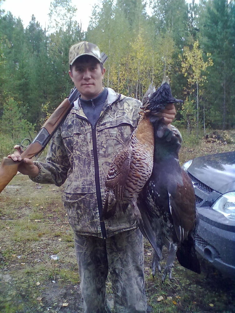 ���������� ������, ���� ������� ����, 44 ����, ������������ ��� ������