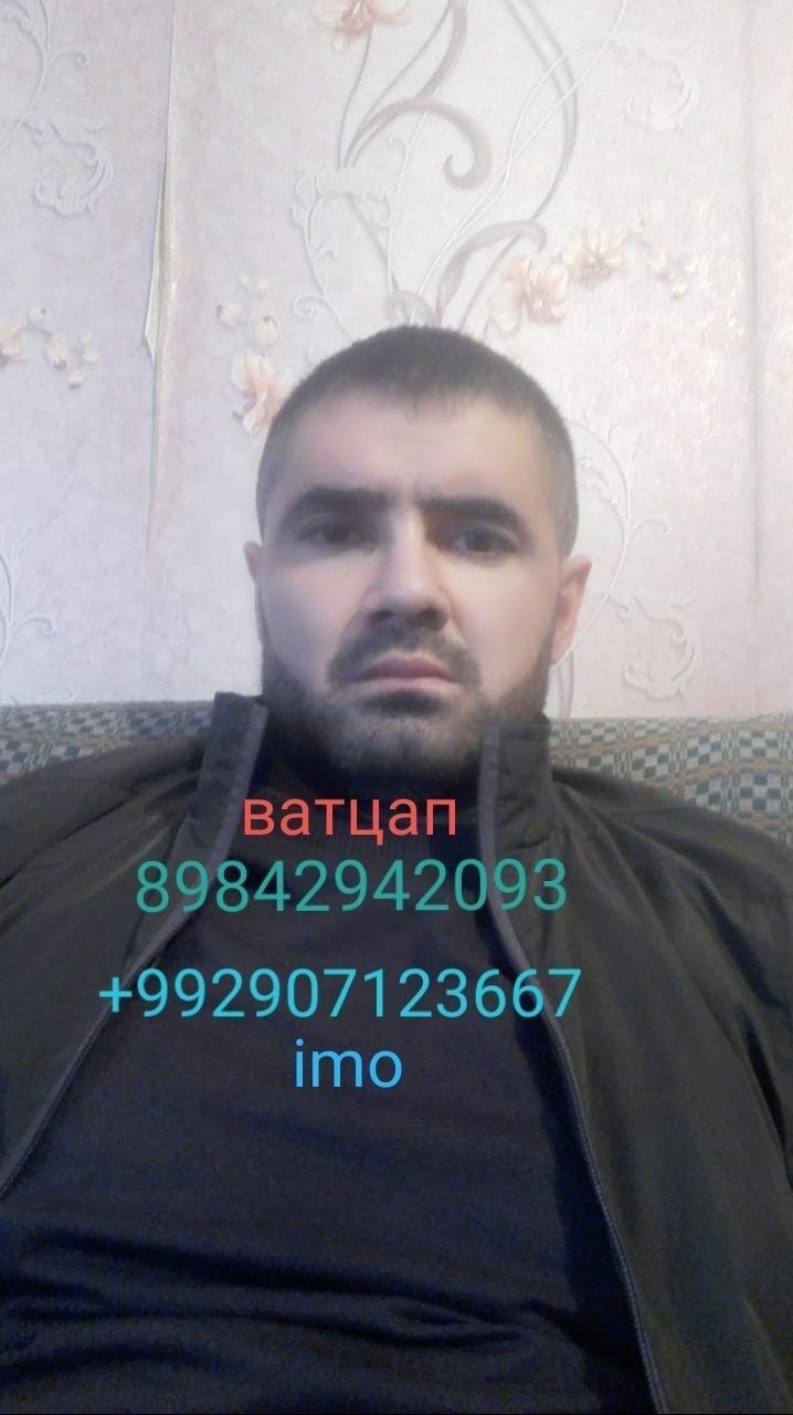  31355513  , 42 ,    