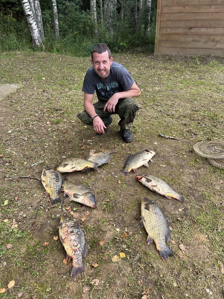 ���������� ������, ���� ������� ����, 43 ����, ������������ ��� ����� � ���������, c�������� ���������