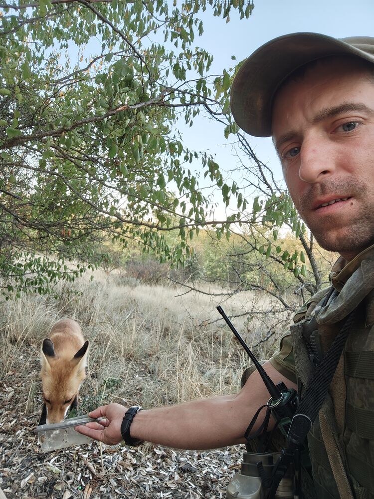 ���������� ������, ���� ������� ������, 35 ���, ������������ ��� ������, ����� � ���������, c�������� ���������