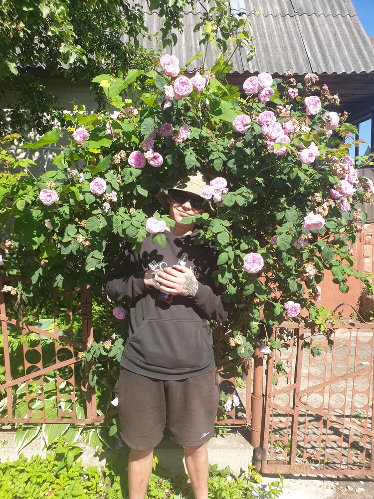 ���������� �����, ���� ����� �������, 24 ����, ������������ ��� ������, ����� � ���������