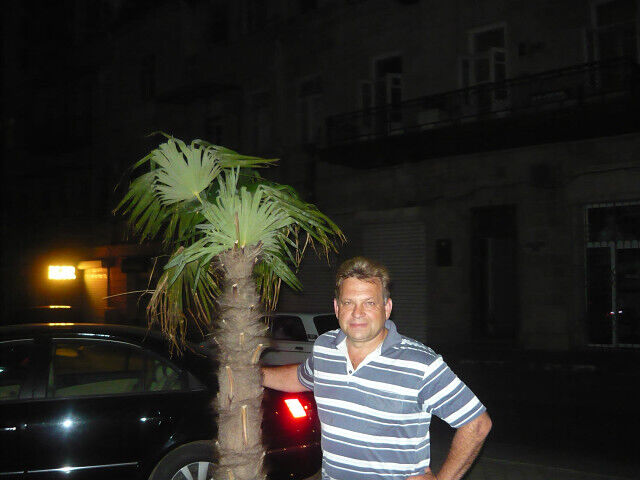 ���� 23697433 ������� ���������, 63 ����, ���� ���������� � �����-����������