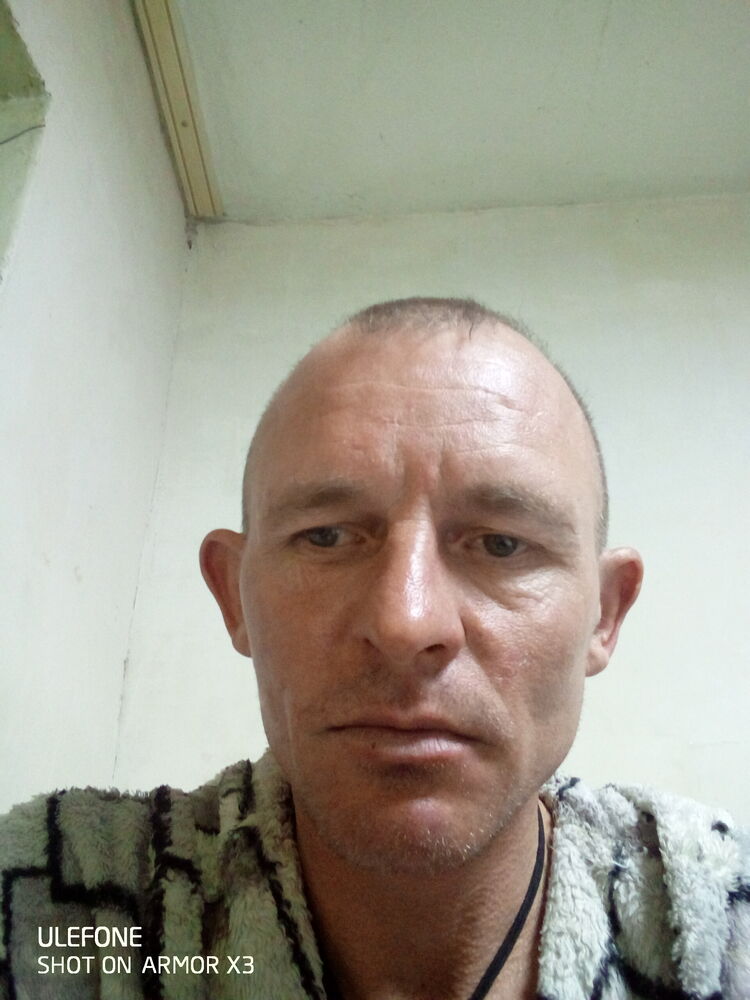  48694663  , 41 ,    