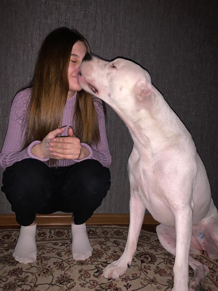 ���� 22719353 ������� �����, 24 ����, ���� ���������� � ������