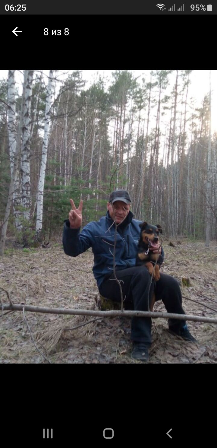 ���������� ������, ���� ������� �������, 44 ����, ������������ ��� ������, ����� � ���������