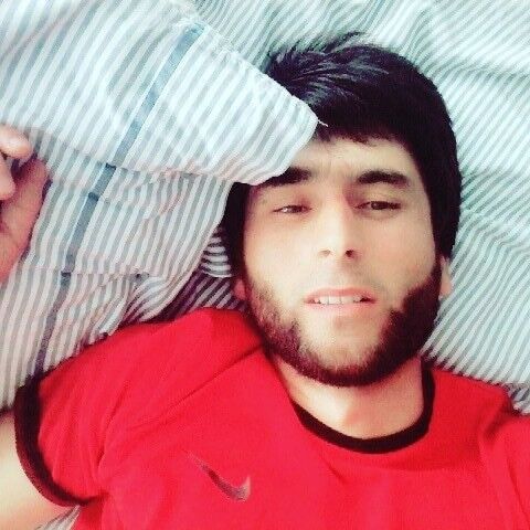 ���� 17832853 ������� ����, 31 ���, ���� ���������� � �����������