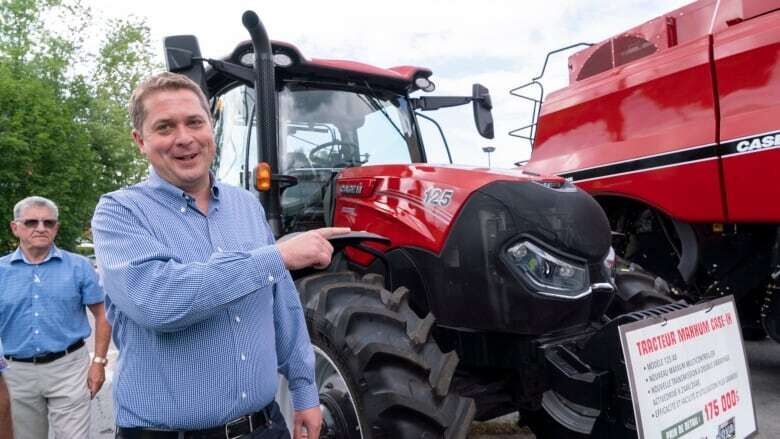 ���� 56038503 ������� ����� �����, 57 ���, ���� ���������� � ������