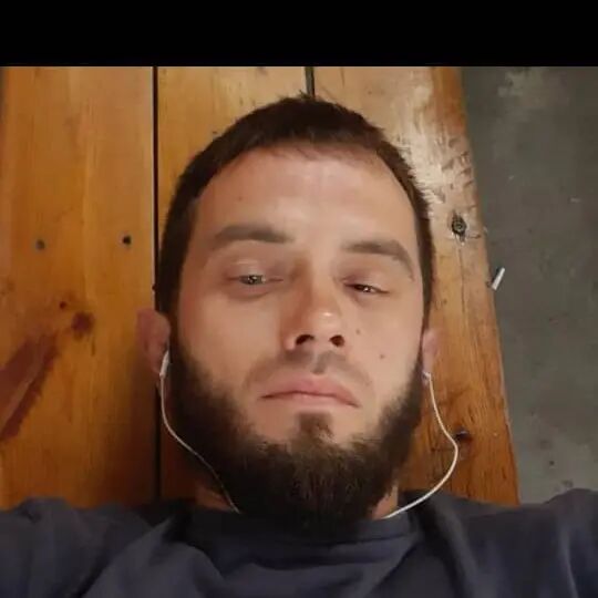  45447593  , 31 ,    