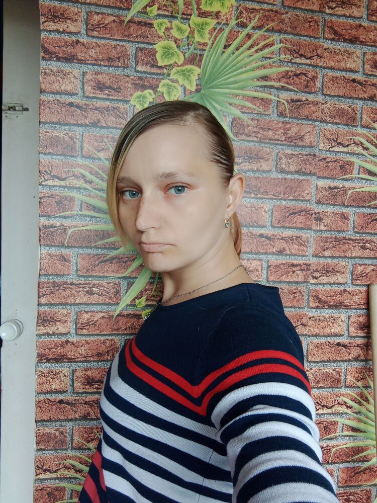  28095633  , 33 ,    -