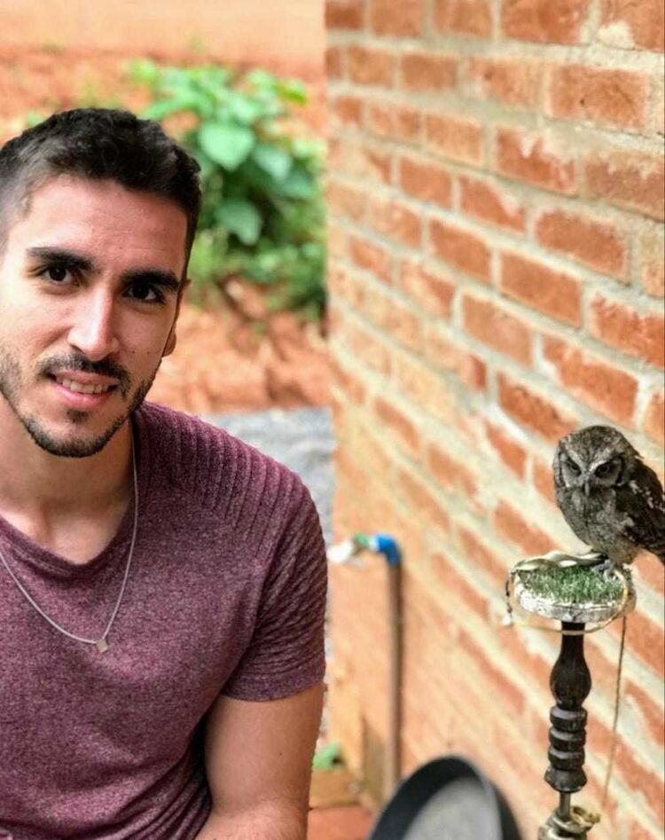 ���������� ������, ���� ������� ����, 43 ����, ������������ ��� ������, ����� � ���������, c�������� ���������